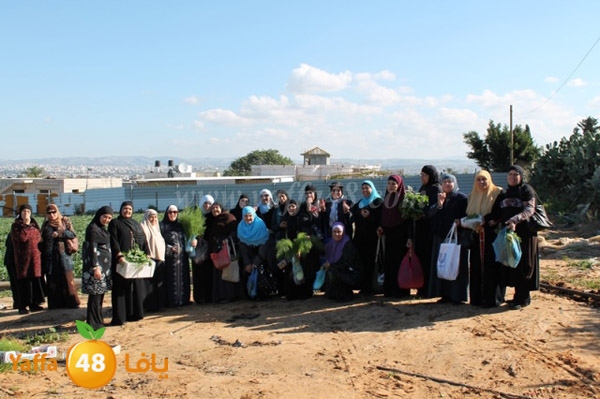 re7la tolkarem (1).JPG